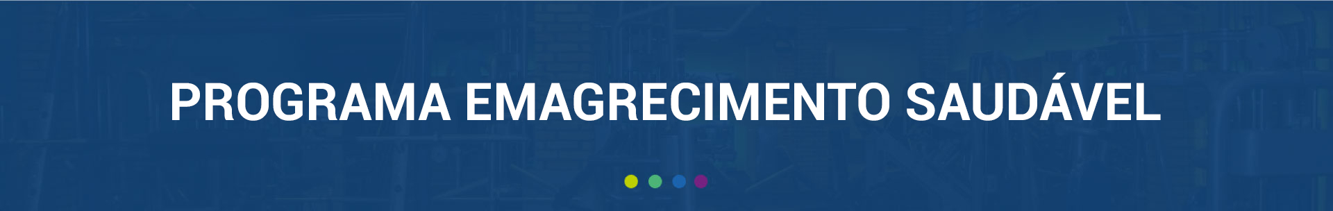 banner programa emagrecimento saudavel